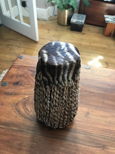 African zebra skin - skin, covered