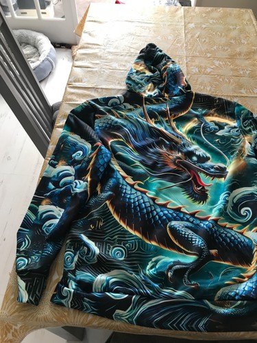 Long sleeved dragon - sleeved, hoodie