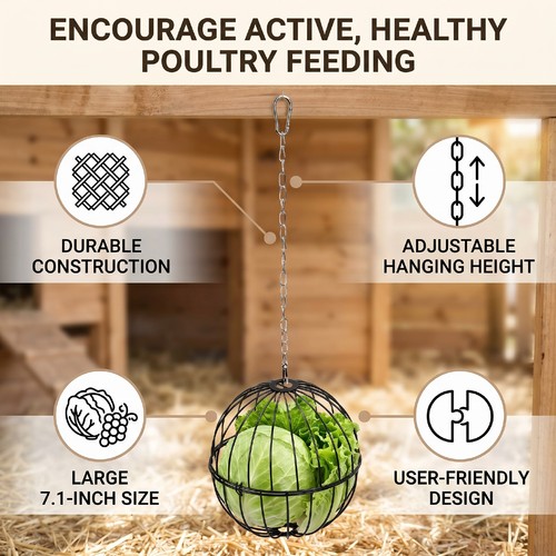 Hanging chicken vegetable - hanging,
