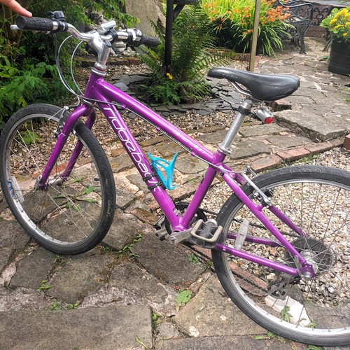 Ridgeback girls bike vgc - girls,