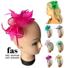 Small Flower Feather Hair Hat Fascinator Headband Clip Wedding Royal Ascot Race