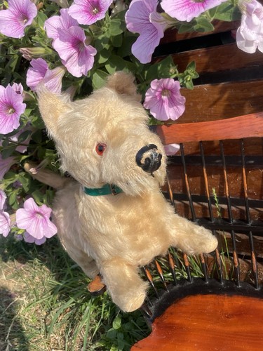 Teddy bear old antique - teddy,