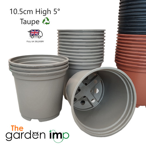 Plant pots plastic 5cm - plant,