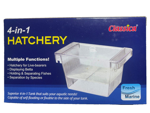 Classica aquarium fish - aquarium,