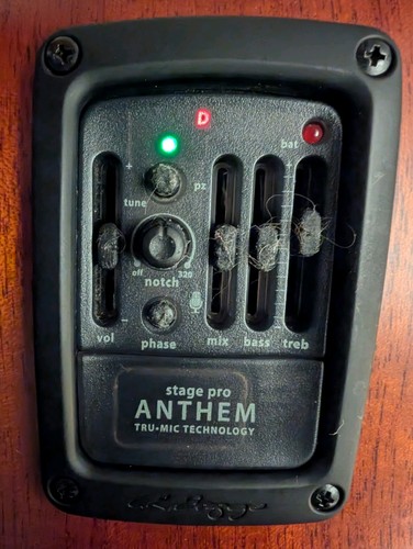 Baggs anthem stagepro - baggs,