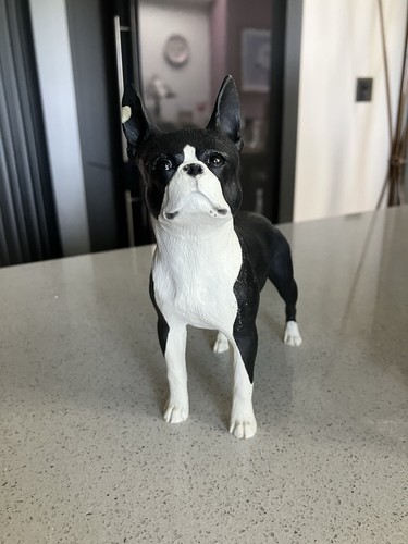 Vintage ceramic boston - boston, terrier