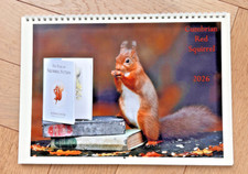 CUMBRIAN RED SQUIRRELS 2026