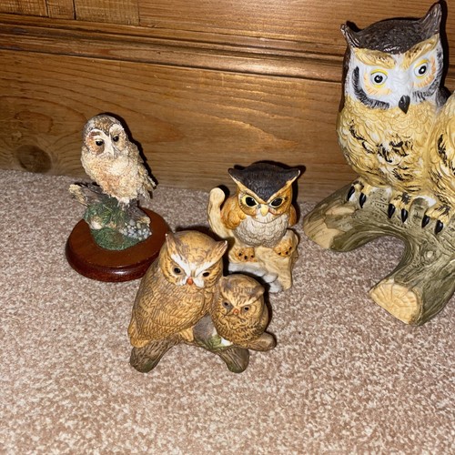 Collection owl ornaments 4 - of,