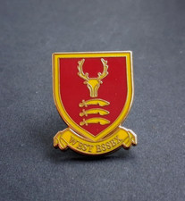 WEST ESSEX FOOTBALL CLUB BUTTERFLY PIN BADGE