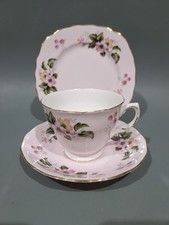 Colclough Bone China Tea Cup