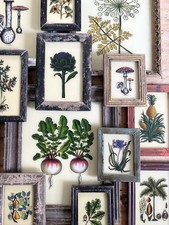 Botanical Reverse Glass