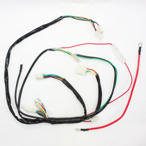 Electric start wiring harness - electric,