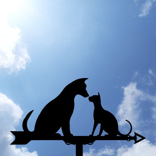 Dog with cat - a, metal