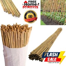 Professional Bamboo Canes