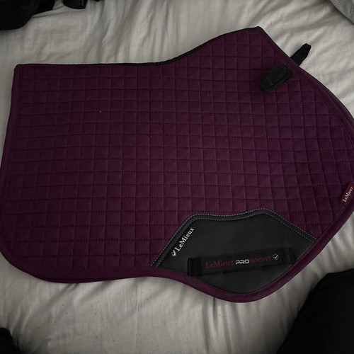 Lemieux prosport purple black - prosport, purple/black