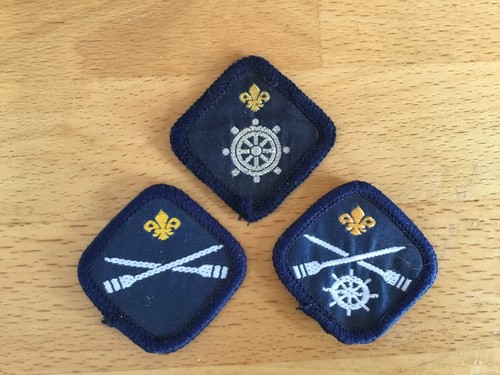 Scout badges set of the - badges,