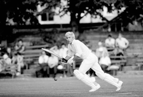 Old large cricket photo david - old,