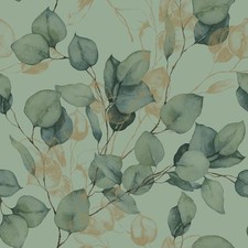 Eucalyptus Leaves Wallpaper