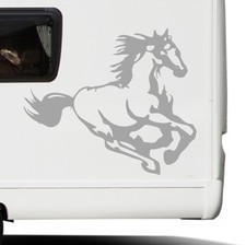 Horse sticker decal transfer