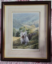 Westie - Steven Townsend