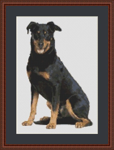 Beauceron dog cross stitch kit - dog,