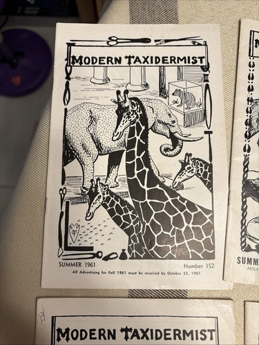 Vintage modern taxidermist - vintage,