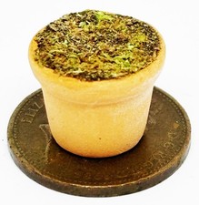 Dolls House Iris Flowers