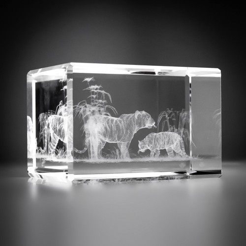 Laser etched crystal glass - laser,