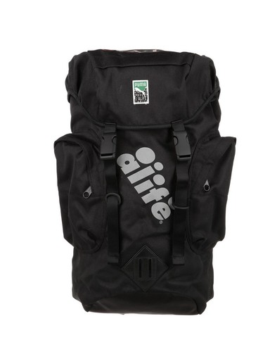 Rare puma alive - alive, backpack