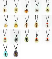 Real Insect Medium Pendant