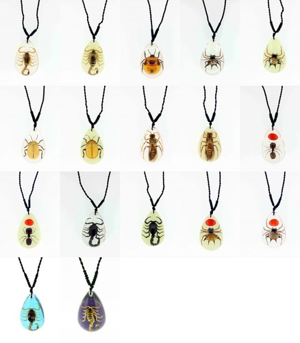 Real insect medium - real,