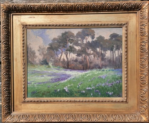 Rossetti crocus penhelig - rossetti,, at