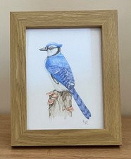 Freehand Framed Colouring