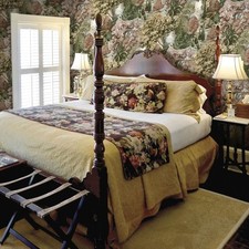 Botanical Wallpaper Basildon