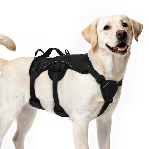 Pigo black dog harness - black,