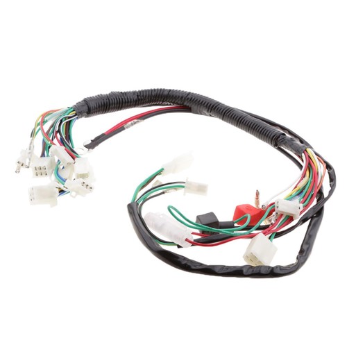 Wiring loom harness - wiring,