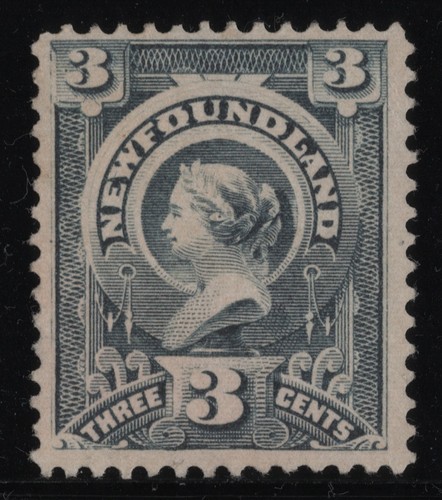 Newfoundland canada mint - newfoundland,