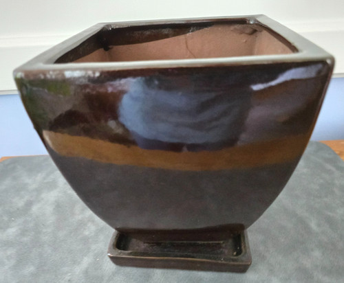 Dark brown ceramic plant - ceramic, pot