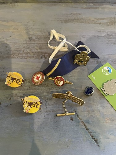 Vintage badge pin job lot - vintage,