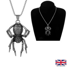 Large Tarantula Spider