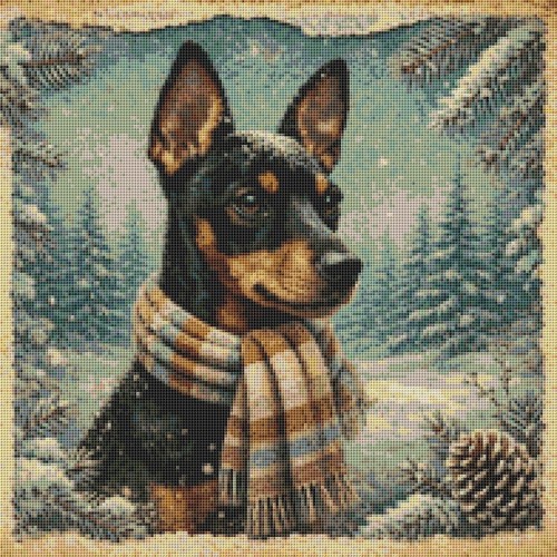 English toy terrier - english,