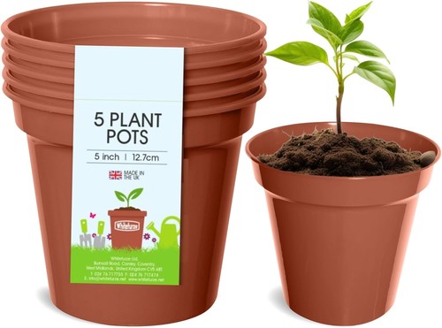 Versatile 7cm terracotta - versatile, 12.7cm