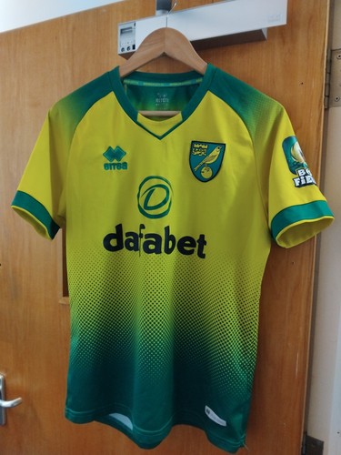 Norwich city 2019 home - norwich,