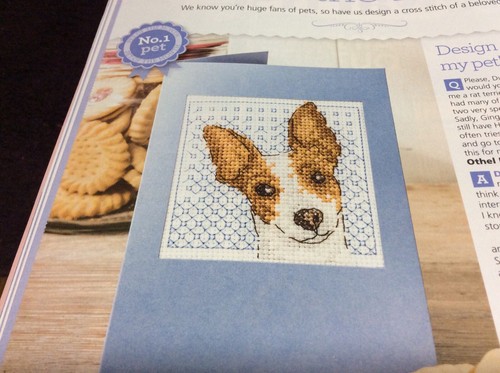 Rat terrier pattern - (g70),