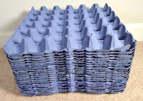 Cardboard pulp chicken - pulp,