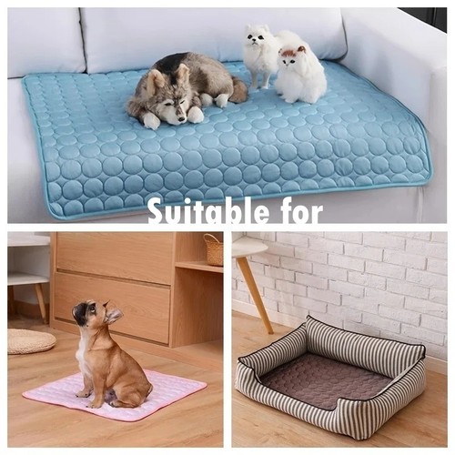 Dog cat cooling - cat,