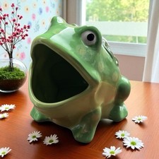 Ceramic Frog  Sponge Holder