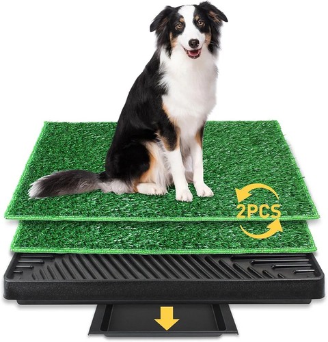 Dog toilet puppy pee - puppy,
