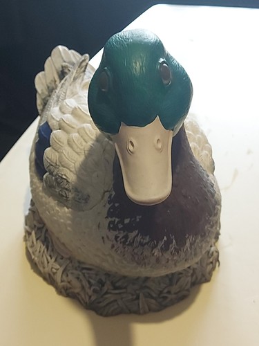 Lovely duck garden ornament - duck,