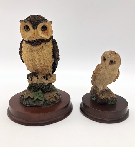 Acadamy owl ornaments - x,